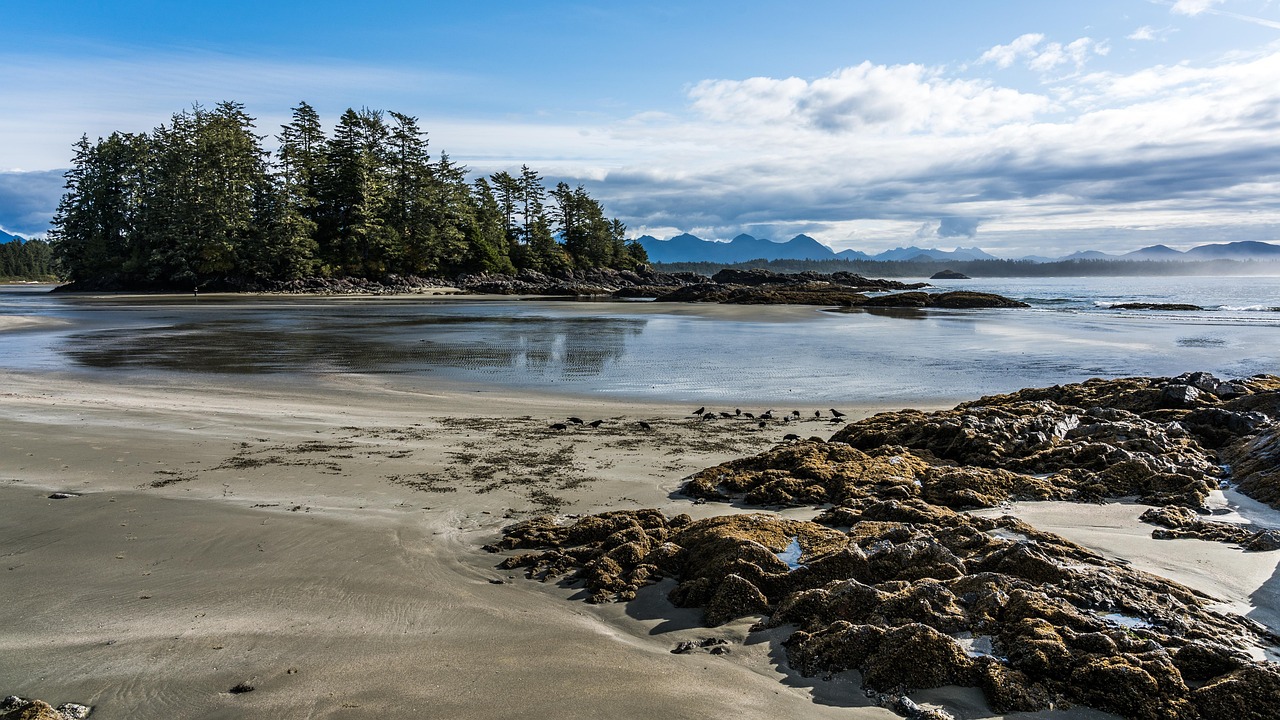 Tofino Chesterman Beach coastline