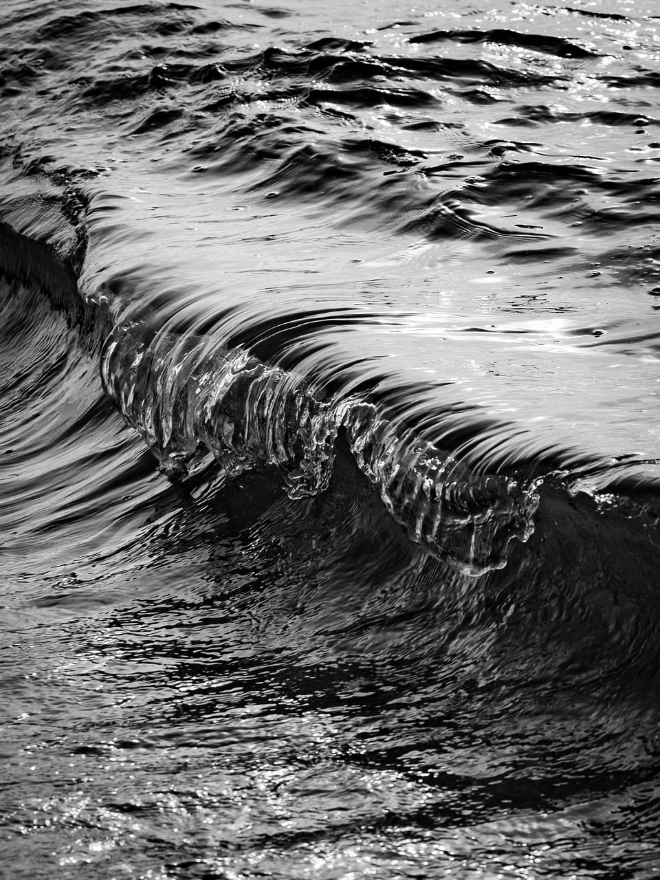 Tofino waves breaking on Chesterman Beach